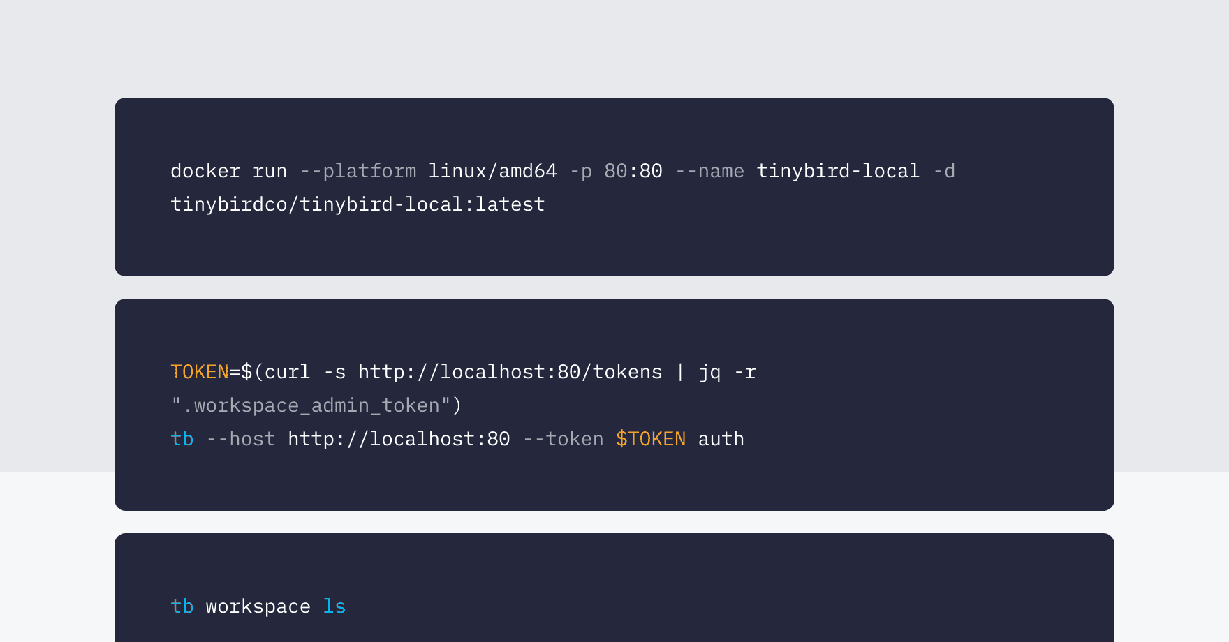 Tinybird Local container interface